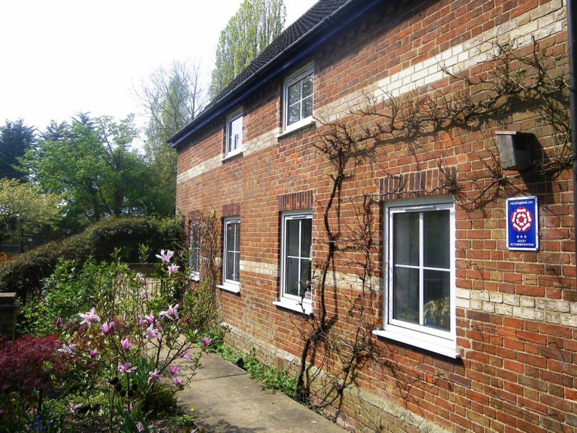 South Norfolk Guest House Great Moulton Екстериор снимка